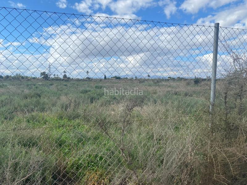 Foto 0008e0d4-ce48-4db0-9080-cb073c0cbdcb. Rural plot in Perleta - Maitino Elche / Elx
