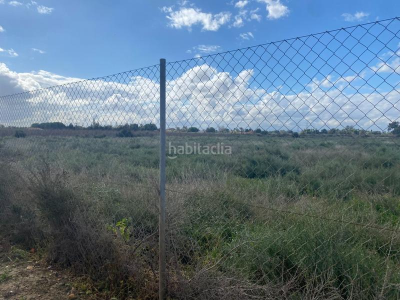 Foto 07f19756-b87b-4ffe-adfd-d43ea5e94715. Rural plot in Perleta - Maitino Elche / Elx