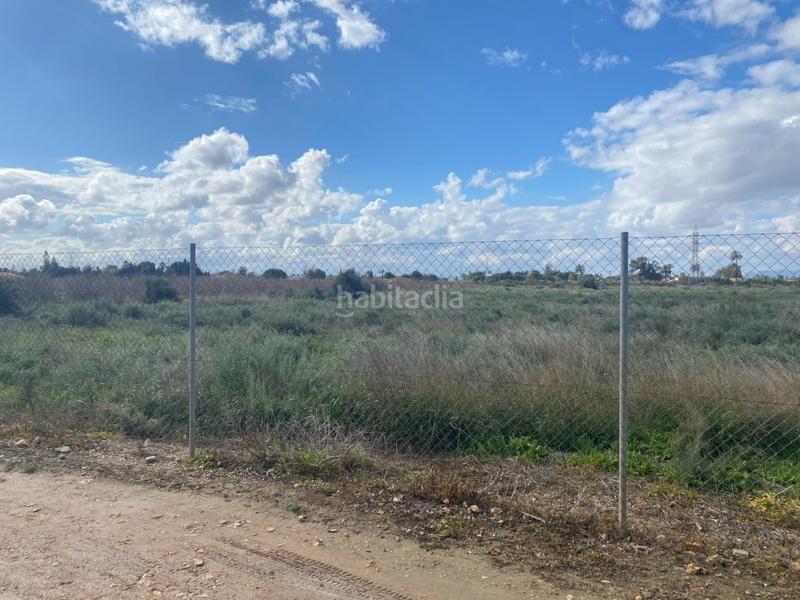 Foto 94bde024-2888-4f1f-86b9-dcc955aca654. Rural plot in Perleta - Maitino Elche / Elx