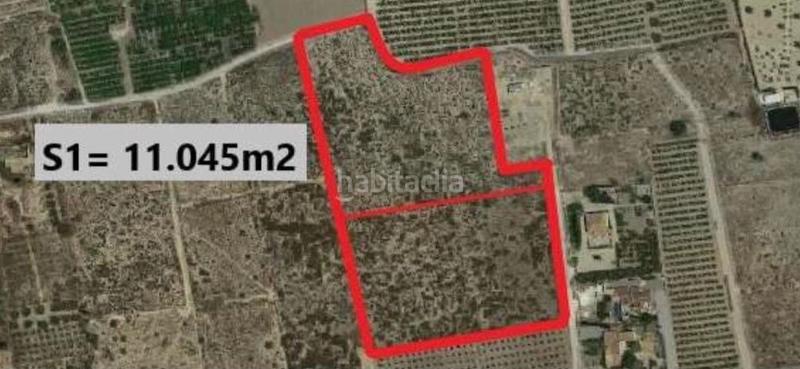 Foto a002d676-1e26-46ae-8e39-30caec932330. Rural plot in Perleta - Maitino Elche / Elx