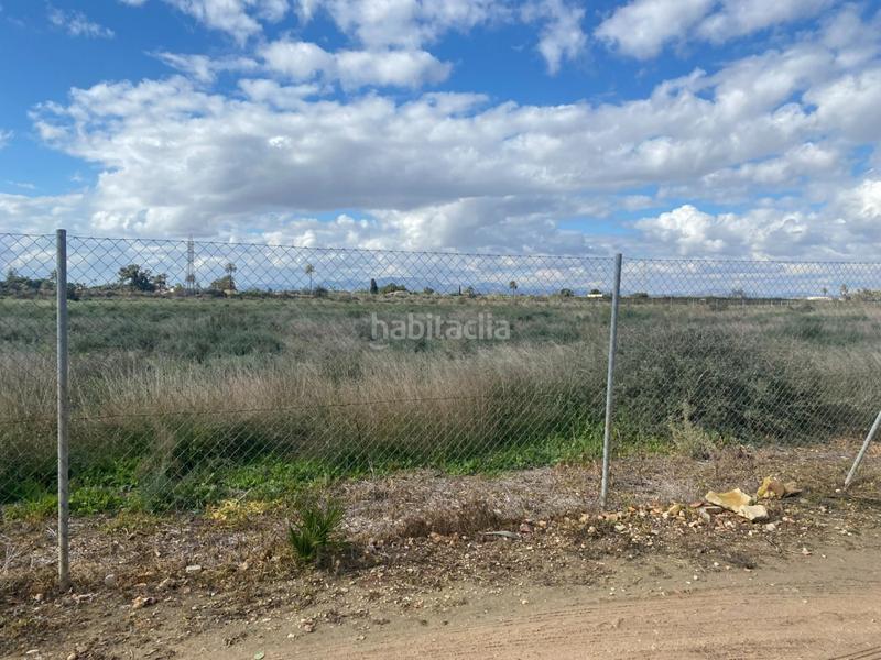Foto e4db2174-a11e-47b9-8b47-e1570502b7ac. Rural plot in Perleta - Maitino Elche / Elx