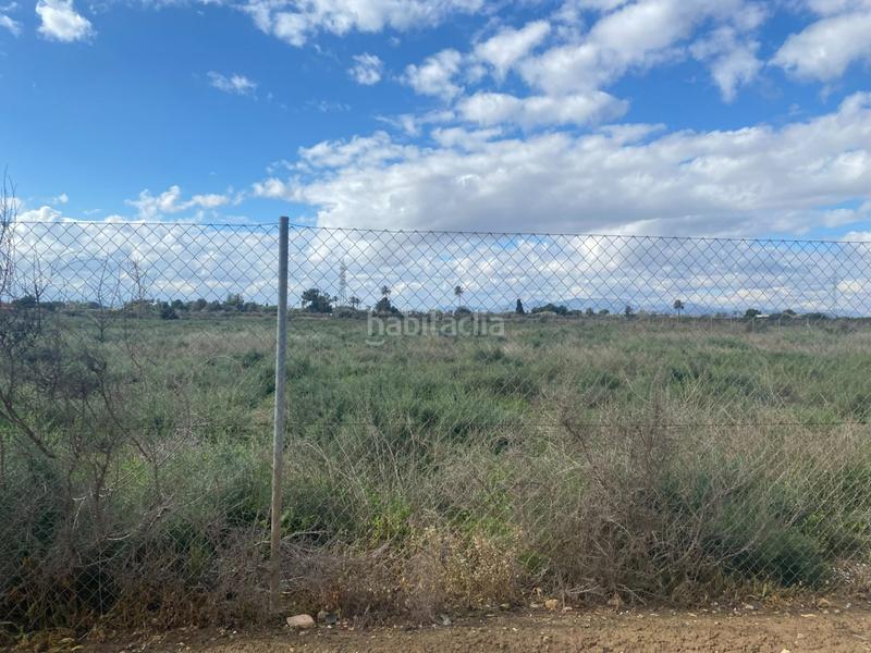 Foto f46afa51-0d75-4493-aa88-bc475c27277e. Rural plot in Perleta - Maitino Elche / Elx