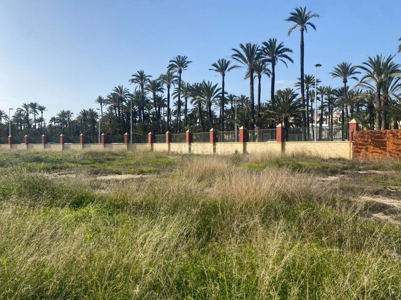 Foto 2985b559-d895-42fb-be59-d154b2d5bafc. Terreny residencial a El Raval - Portes Encarnades Elche / Elx