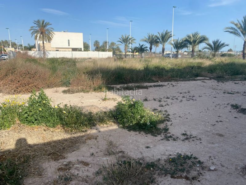Foto 2f3f7c9d-50db-4dcb-8728-57258a27cfa9. Terreny residencial a El Raval - Portes Encarnades Elche / Elx