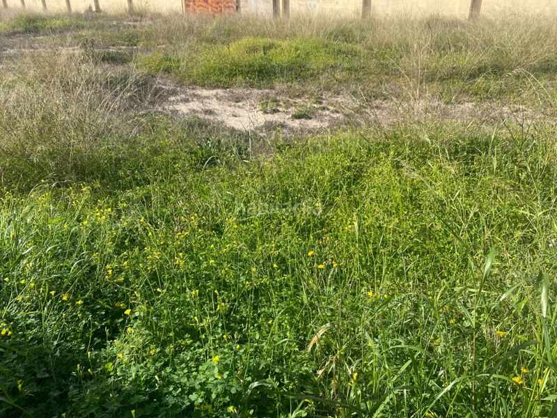 Foto b21b343c-bcbd-4ed7-8641-c4b7ab8802bc. Terreny residencial a El Raval - Portes Encarnades Elche / Elx