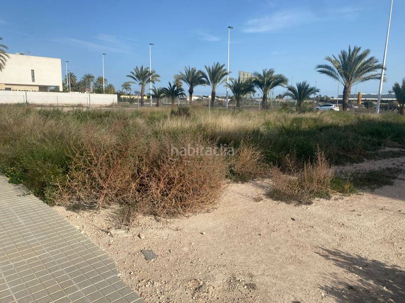 Foto d16cfd84-8107-4ff4-9d77-4a5f1900f668. Terreny residencial a El Raval - Portes Encarnades Elche / Elx
