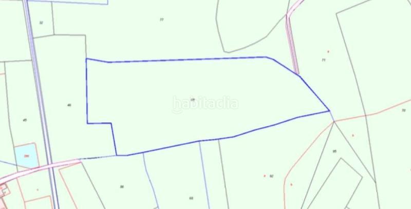 Foto 1558ef07-079f-4b2e-93c3-4700fe5ff580. Fondo rustico in Valverde Elche / Elx