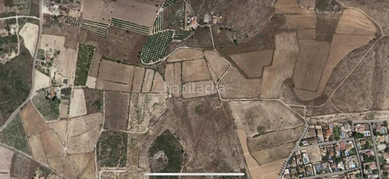 Foto d5229b2f-073b-4ff8-bf29-1d8d0f0dcc61. Fondo rustico in Valverde Elche / Elx