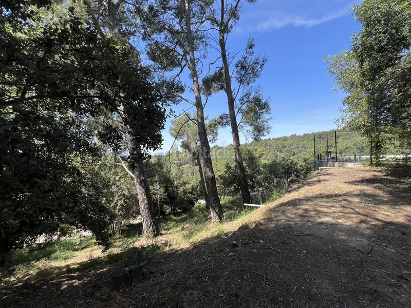 Foto 5d9f60fe-92ab-4079-b2cf-427f514457a9. Terreny residencial a Almoster