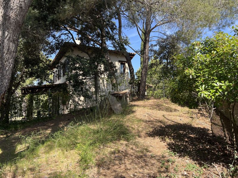 Foto bc15f61f-5445-4a11-bbfa-8d49b54ca039. Terreny residencial a Almoster