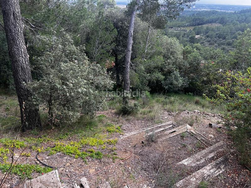 Foto 11452c9b-fb3f-45eb-ab47-1a2050c1ae2d. Terreno residenziale in Almoster