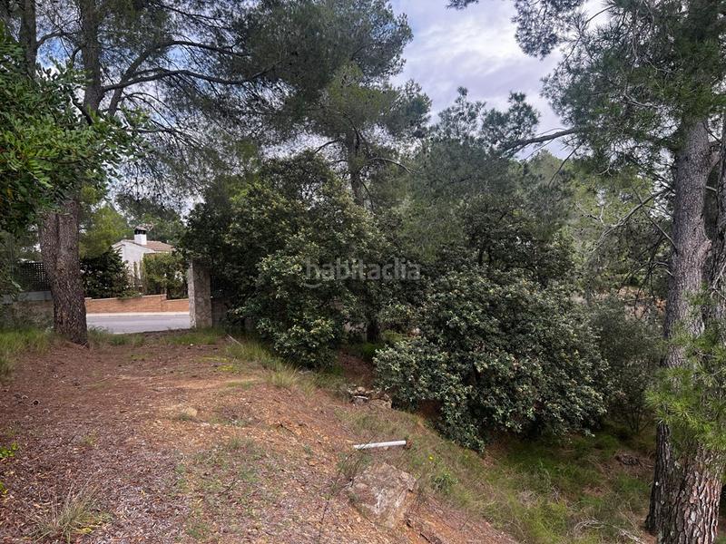 Foto 3166aa24-05fe-406c-9ffb-ce1a49740385. Terreno residenziale in Almoster