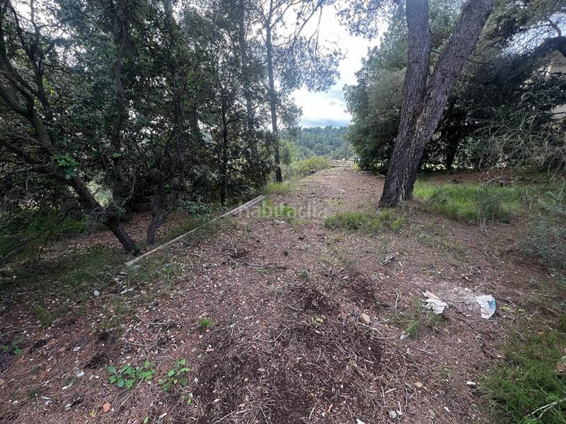 Foto c052a2c0-5e56-4056-b5f6-a35996d9bb3a. Terreno residenziale in Almoster