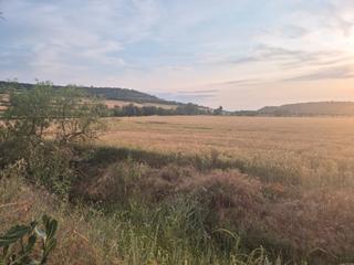 Finca rústica a N/a. En venda - finca agrícola a cervera
