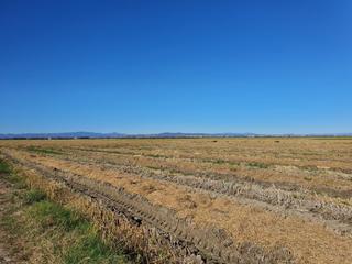 Fondo rustico in Sueca