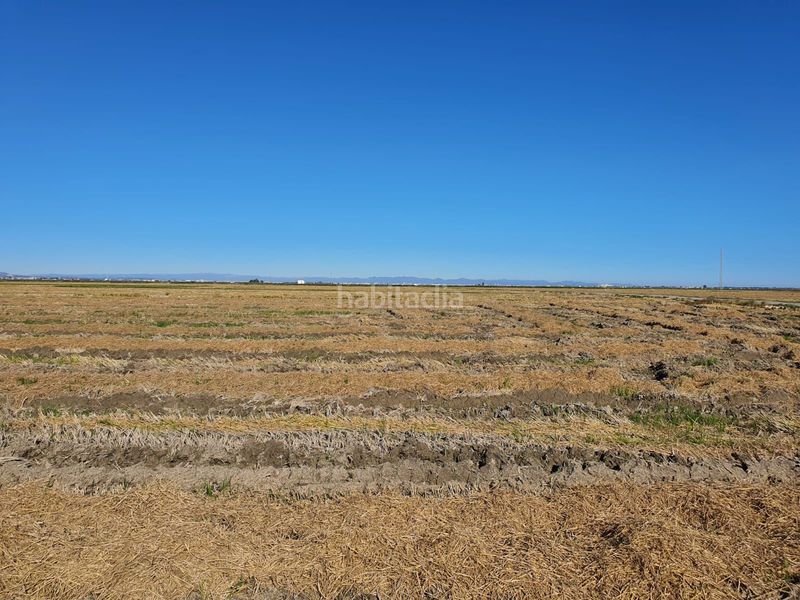 Foto 52447b4a-2cbd-4812-8cdd-9be8562fa451. Landgut in Sueca Sueca