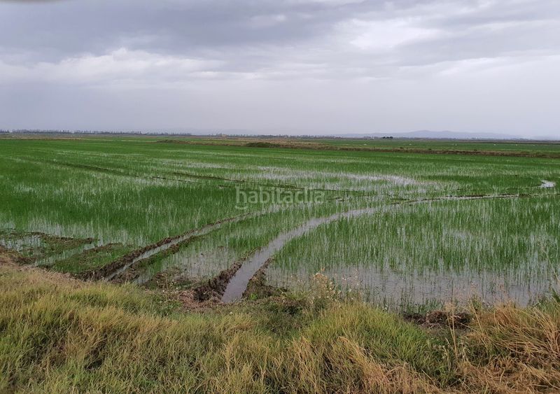 Foto c243a372-1f87-4851-a0a9-2ed9fd7568b7. Landgut in Sueca Sueca