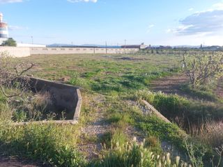 Propriété  Plaça reginaldo barbera jornet