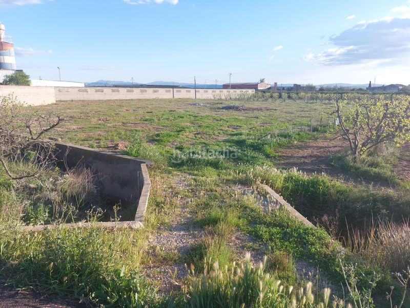 Foto cdc91351-65fb-462d-a3b4-0a143559a464. Finca rústica a Guadassuar