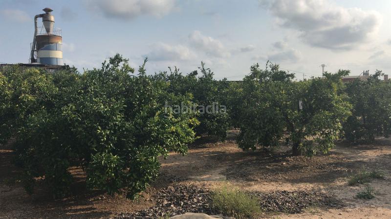 Foto e0fba245-2320-45b7-8725-40467d430bc8. Finca rústica a Guadassuar