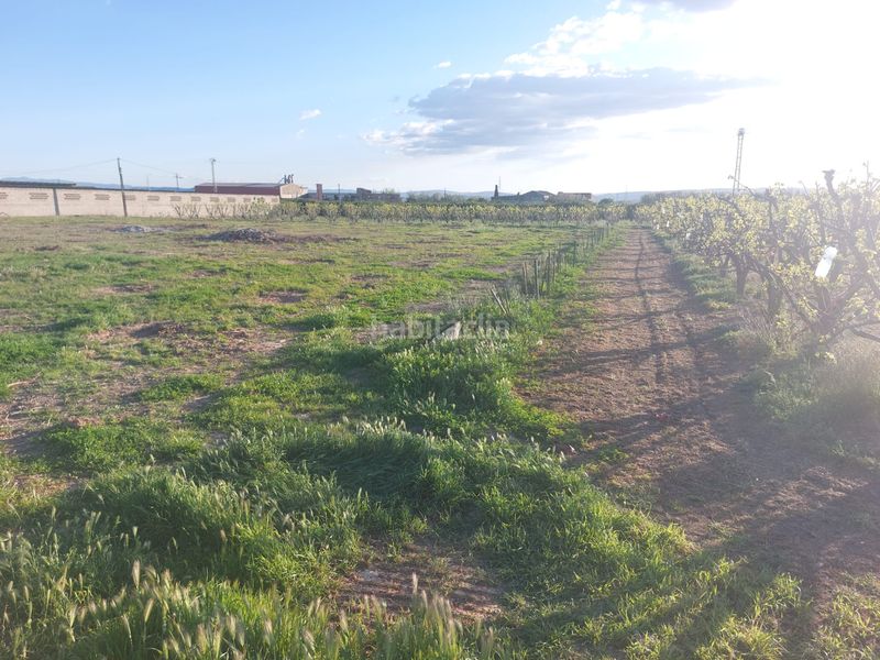 Foto f11363bc-4de2-46bb-802d-d6d19c62b6ce. Finca rústica a Guadassuar