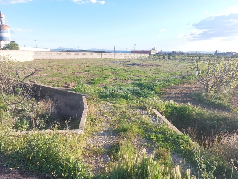 Foto f6c78680-10d4-4574-96ff-90e2516e1868. Finca rústica a Guadassuar