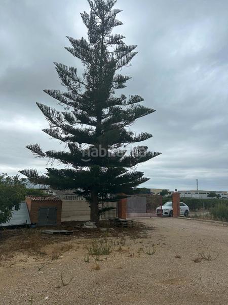 Foto 130010e4-4e78-4071-abc6-e9a410d65757. Capannone industriale in Sueca Sueca