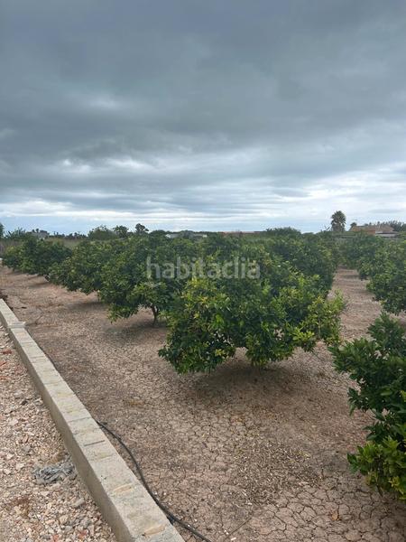 Foto 756d9fe2-8e46-46b4-90ea-67ef146f6902. Capannone industriale in Sueca Sueca