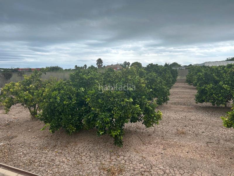 Foto fe243133-fbe5-4bda-9926-670cd37f42d0. Capannone industriale in Sueca Sueca