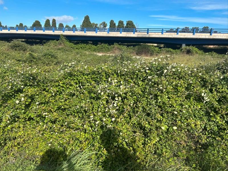 Foto 0ab564f1-f08b-43f3-abfe-f8471f830454. Propriété dans Sueca Sueca