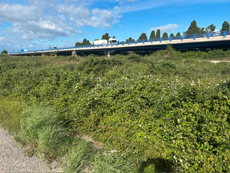 Foto cddb3fa3-98e2-4d03-af2b-f1e64642a31b. Propriété dans Sueca Sueca