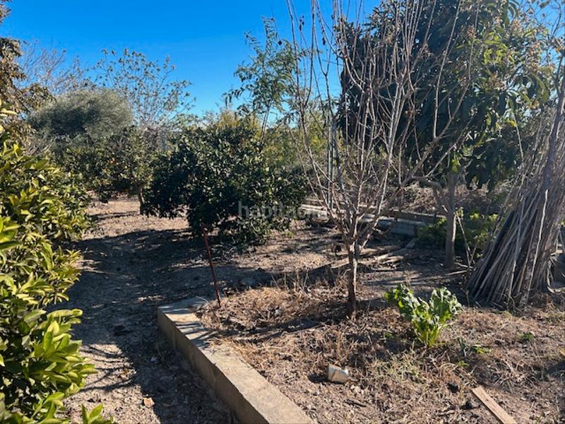 Foto 473108af-2ae7-4514-bd20-c1718ad16ebe. Finca rústica a Sueca Sueca