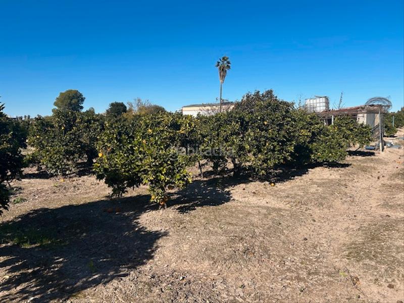 Foto 613f3502-56ee-463f-8dda-2e690d09ed07. Finca rústica a Sueca Sueca