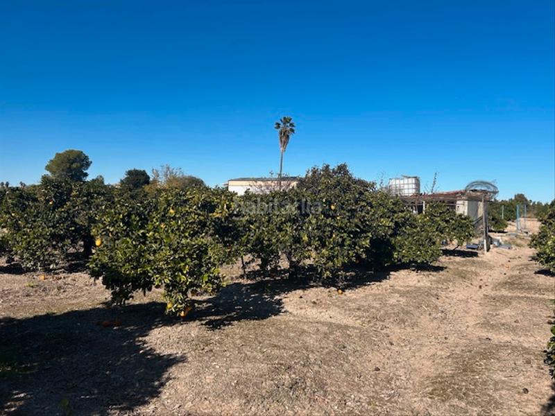 Foto 6b69137e-34d1-4a60-8462-61b79802713a. Finca rústica a Sueca Sueca