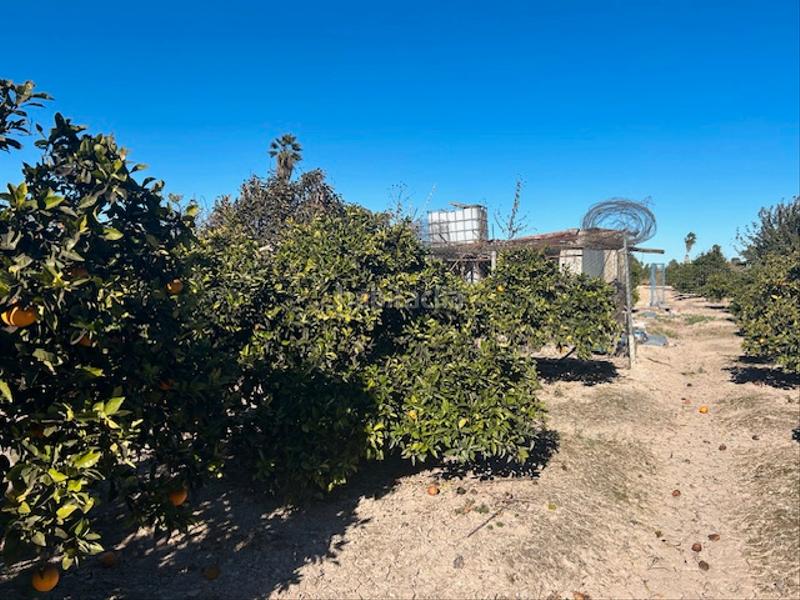 Foto 94966f4e-54dd-4b53-a195-04c034ea94da. Finca rústica a Sueca Sueca