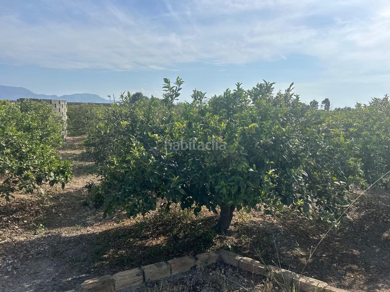 Foto c738a641-caba-4999-ad0a-1717a21b3347. Finca rústica a Sueca Sueca
