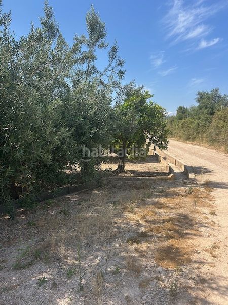 Foto 89eb539f-8e18-420d-a009-5d2b3429bc66. Finca rústica a Sueca Sueca