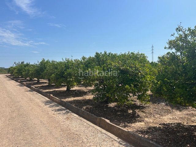 Foto aed48915-ae29-4cbb-b8aa-811f276aef26. Finca rústica a Sueca Sueca