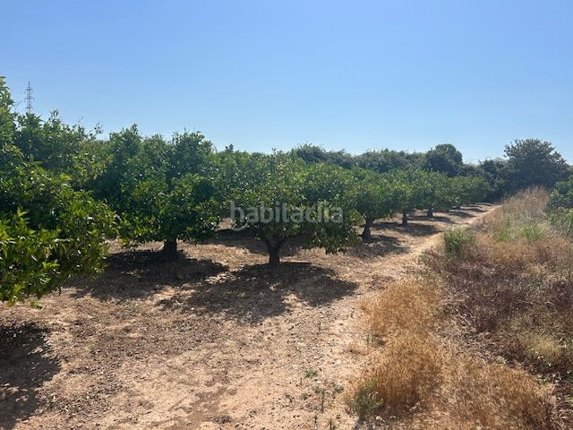 Foto ceb45542-b4db-4a39-be84-429f43c07c92. Finca rústica a Sueca Sueca