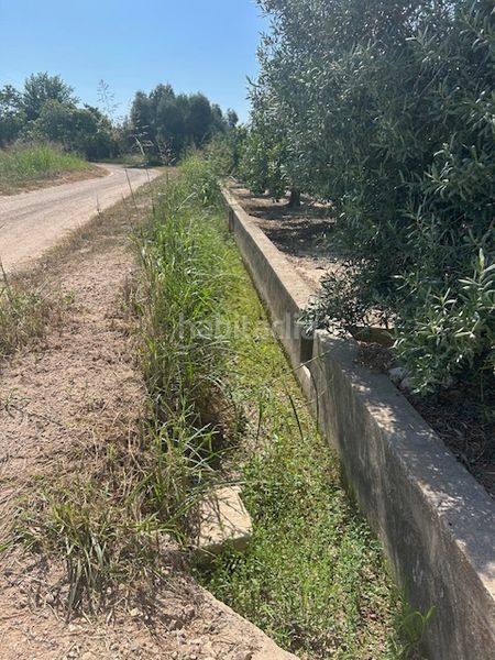 Foto d3f80715-9b65-4444-bf4f-13a19eb270f0. Finca rústica a Sueca Sueca