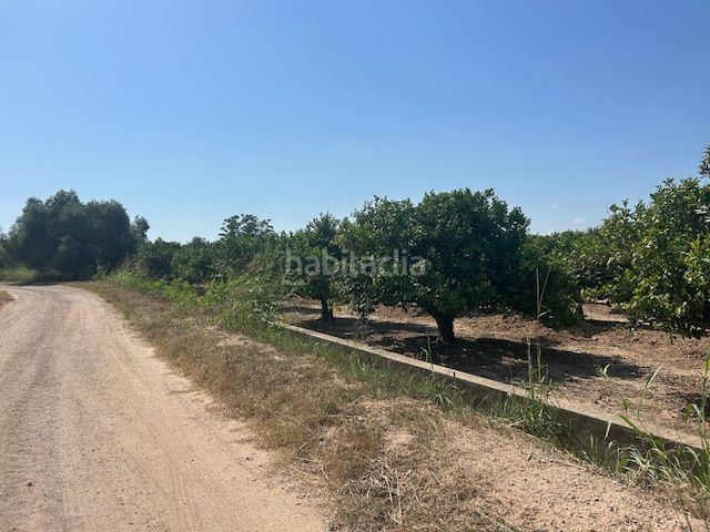 Foto f98a726d-7051-4b95-b4f6-60f297cf6499. Finca rústica a Sueca Sueca