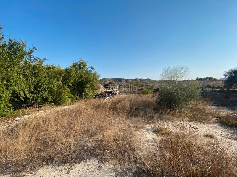 Foto d6121386-240c-4c75-8a55-129a0340c2d7. Casa con camino parcheggio piscina in Pedanías Oeste Aspe