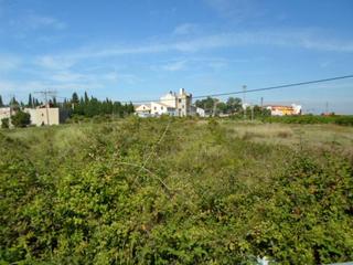 Terreny residencial a Algemesí