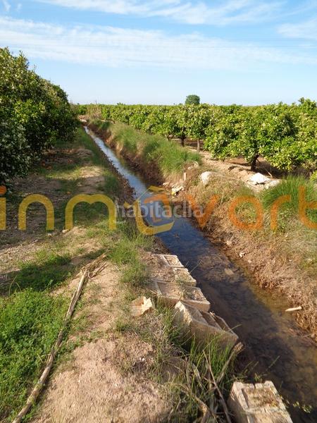 Foto 20673736-6f74-4cde-b0b3-74884a1178cb. Finca rústica a Algemesí