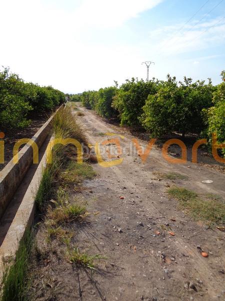 Foto 8607fb53-9f96-40fa-8819-1a3797da221d. Finca rústica a Algemesí