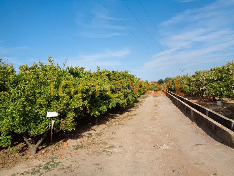 Foto eeff37a3-00d8-4059-a48c-86135cd2d103. Finca rústica a Algemesí