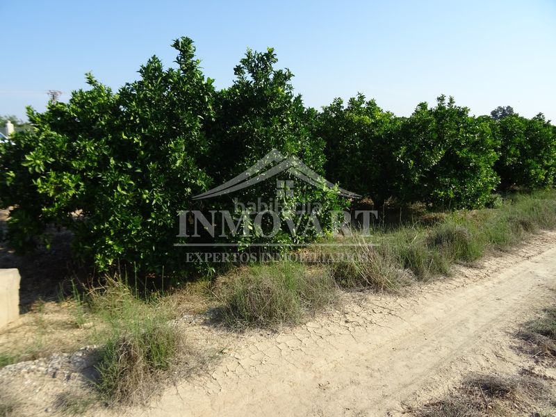 Foto b9283e61-89c8-4323-8b01-3e7b6ec39441. Finca rústica a Algemesí