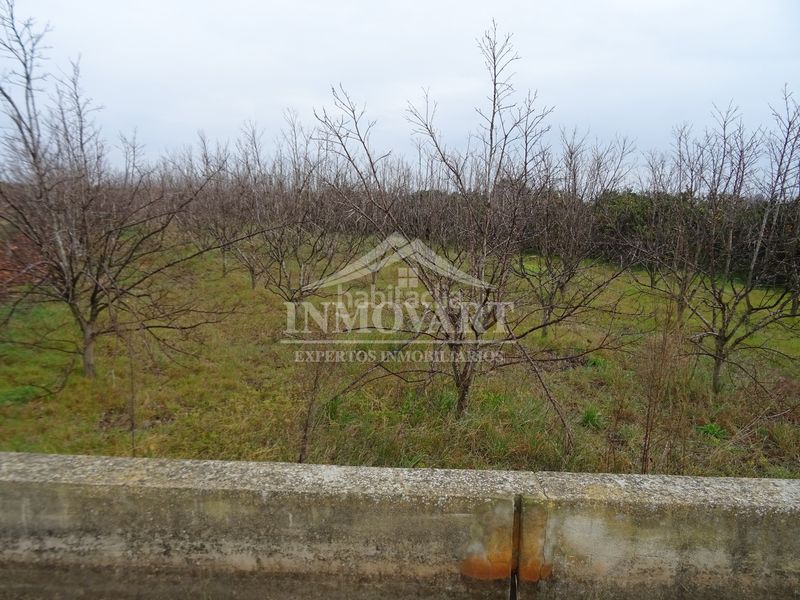Foto f77501fa-6765-468a-8b5f-e3977166dd53. Finca rústica a Algemesí