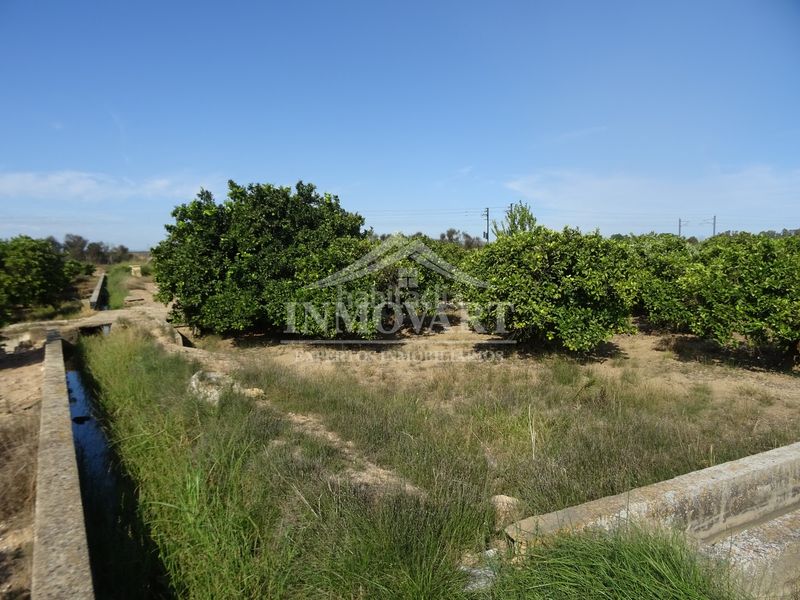 Foto f5a3e32b-d791-4177-9fbb-2cbf4a1394e9. Finca rústica en Algemesí