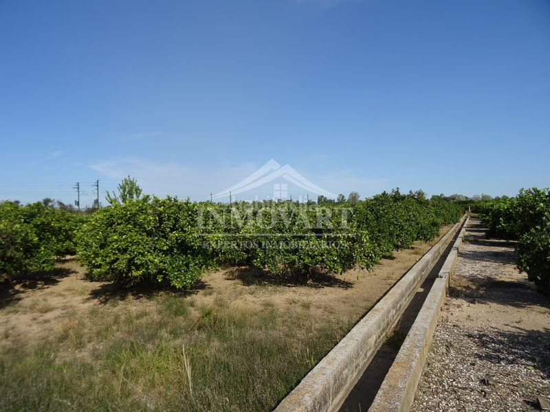 Foto f61eb8be-fa24-4588-a673-b1544c0304c4. Finca rústica en Algemesí